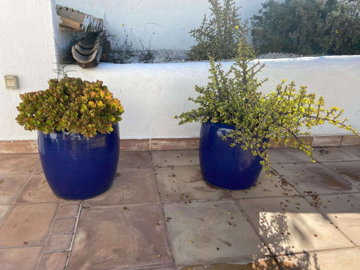 Jávea Exterior foto